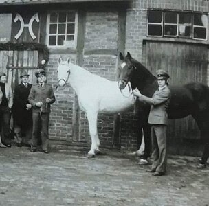 Jürgen Winter und der Vererbungsheros Gotthard bei der 200-Jahr-Feier der Deckstelle Hänigsen 1974, daneben Graphit.  | © Archiv