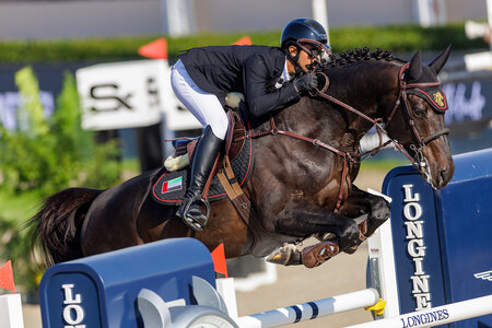 Der Selle Francais gezogene Hengst Enjoy de la Mure siegte unter dem Sattel von Omar Abdul Aziz Al Marzooqi im Sires of the World Springen. | © Lafrentz