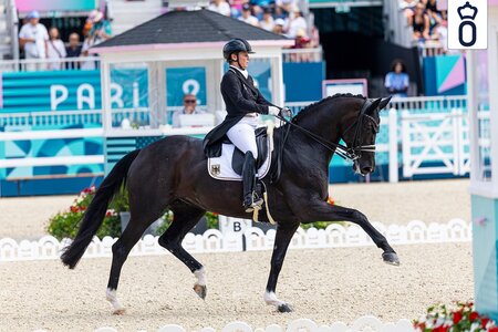Die Gold- und Silbermedaillengewinnerin der Olympischen Spiele 2024 in Paris, Wendy de Fontaine, bereichert die Oldenburger Elite-Auktion mit einem bewegungsstarken Sohn.  | © de Koster