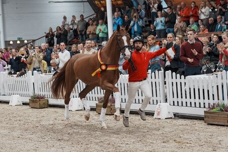 Teuerstes Dressurpferd: Senorita la Bonita v. Sir Heinrich/Westernhagen | © Reckimedia