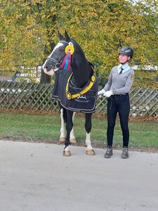 Imponierender Hengstsieger: Der bunte Rappe Uncle Ben hatte in Marbach viele Bewunderer | © Schridde