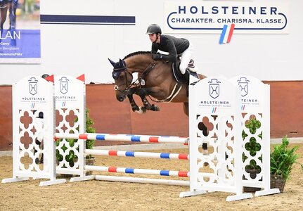 Die in Kooperation mit der FN durchgeführten Hengstleistungsprüfungen beim Holsteiner Herbst-Event geben interessante Einblicke in Ausbildungsstand und Entwicklung der Prüflinge.  | © Bugtrup