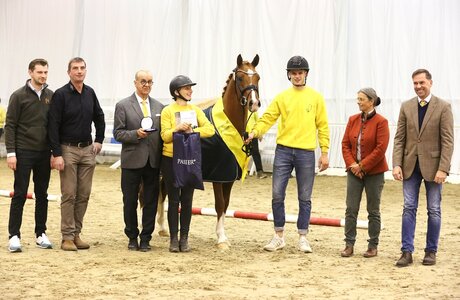 Körungssieger Deauville v. Da Vinci HS | © Ponyverband Hannover / Schwöbel