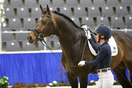 Die HLP-Neukonzeption wurde Ende Oktober beschlossen und wird 2025 in Kraft treten. | © Bischoff