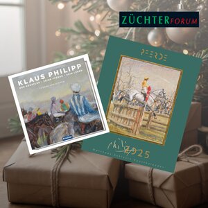 Geschenkideen für Weihnachten: Kunstkalender und Lebenswerk von Klaus Philipp | © Adobe Stock