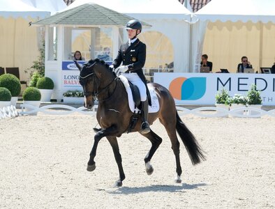 Great Escape Camelot unter Raphael Netz war der erfolgreichste Nachkomme des Spitzenreiters Johnson im Hengstranking Dressur.    | © Hartwig