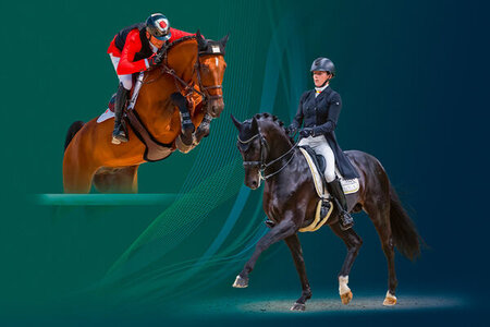 In Verden finden die Hengstkörungen und -märkte des Hannoveraner Verbandes statt.  | © Hannoveraner Verband