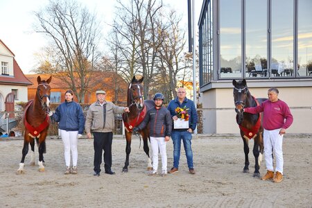 Die Prämienhengste in Moritzburg: (v. l. n. r.) Urkraft, Siegerhengst Vitalus und Very Good | © Placzek