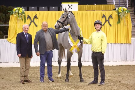 Als Auktionsspitze wurde der prämierte Sohn des Arezzo VDL – Cornado I, Züchter Antonius Schulze-Averdiek, Rosendahl, für 195.000 Euro zugeschlagen. | © Bischoff