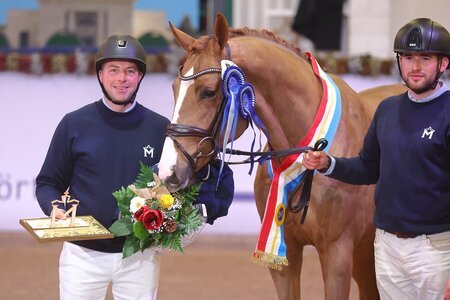 Chacodor MW heißt der Siegerhengst Springen der 34. Mecklenburger Körtage. | © Bischoff
