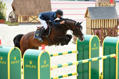 Im Angebot des Gestüts Birkhof steht auch Casall. | © Holsteiner Verband