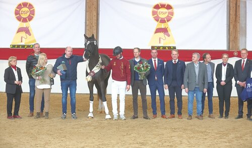 Unumstrittener Siegerhengst Dressur wurde der Sohn des Bonds - Goldberg. | © Bischoff