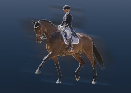 © Hannoveraner Verband