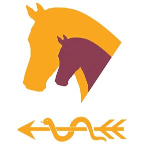 © Pferdezuchtverband Brandenburg-Anhalt e.V.