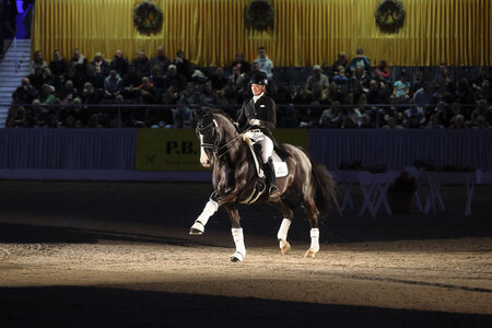 Der "Grand Prix Star" Titolas von Totilas wusste sich im vergangenen Jahr bestens im Scheinwerferlicht zu präsentieren. | © Bischoff