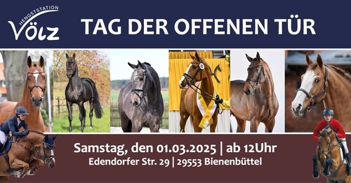 Am 01. März 2025 lädt die Hengststation Völz ab 12.00 Uhr zum Tag der offenen Tür ein. | © Hengststation Völz