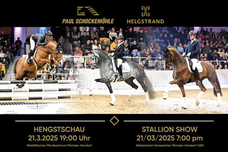 Am Freitag, den 21. März 2025, um 19 Uhr kündigt sich im Herzen der Pferderegion Münsterland ein hippologisches Gipfeltreffen der besten Vererber der Welt an! | © Beelitz (frei)