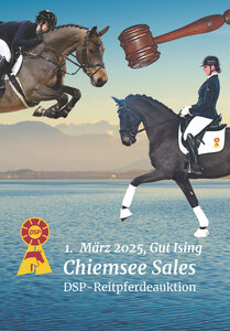 30 Hochkaräter für den Dressur- und Springsport umfasst die Kollektion der „Chiemsee Sales“, die am 1. März versteigert wird. | © Alle Fotos: Hubert Fischer (frei)