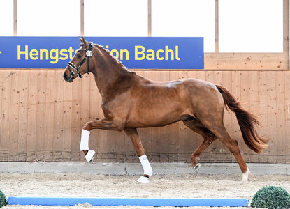 Das Bachl Weekend nähert sich in großen Schritten. | © Hubert Fischer