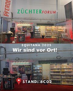 Den Stand der Matthaes Medien mit Bayerns Pferde, Reiterjournal und Züchterforum finden Sie in Halle sechs an 6C02. Kommen Sie uns gern besuchen!