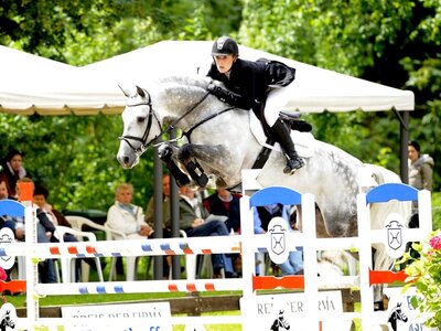 17 wertvolle Straws, darunter auch einer von Cachas v. Caretino, kommen in Holsteins Schatzkammer zur Auktion.  | © Bugtrup