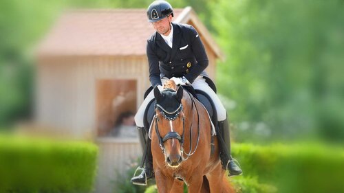 Der Titelheld dieser Auktion ist Rugby v. Rassolini, der 2017 in Verden entdeckt wurde und mittlerweile in der Königsklasse des Dressursports angekommen ist.  | © Hannoveraner Verband