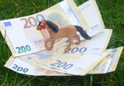 Nicht nur für Pferdebesitzer, sondern für alle Tierhalter ist die neue GOT zunehmend zu einem K.O.-Kriterium geworden. | © Hartwig