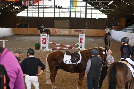 Die Veranstalter ziehen ein positives Fazit und denken über eine Fortsetzung des Schulpferdeprojekts nach. | © Pferdezuchtverband Baden-Württemberg e.V.