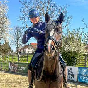 Gestüt Famos-Neuzugang Elastic unter Dorothee Schneider | © privat