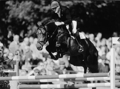 Im Parcours hocherfolgreich war C-Indoctro mit Ulrich Kirchhoff unterwegs. | © VDL Stud