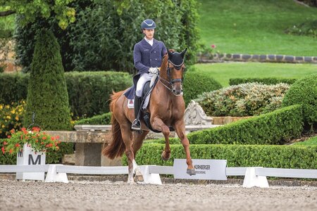 Grande-Preis 2025: Destacado FRH, der mit Matthias Alexander Rath zum deutschen Olympiakader gehört. | © Lafrentz