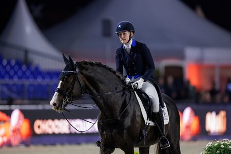 Das Gestüt Blue Hors meldet auf seiner Facebook-Seite, den plötzlichen Tod von Blue Hors Don Olymbrio bekannt.  | © Lafrentz