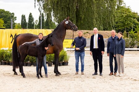Candinsky v. Cornet Obolensky/Contendro mit Züchterin Deborah Johannhardt, Kundenberater Steffen Werner, Auktionsleiter Wilken Treu und den Kundenberatern Thomas Schönig und Lisa von Aspern  | © Hannoveraner Verband