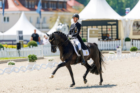 Moritz Treffinger und Cadeau Noir trabten auch in der U25-Kür von Balve zu Gold. | © Lafrentz