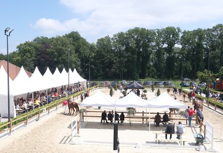 Nicht weniger als 245 Nennungen für die Fohlenschau im Hause Beckmann eingegangen. | © Hartwig