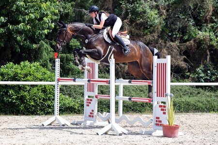Im Parcours der Klasse M* holte sich Emma Rock mit Calina den Titel bei den Sechsjährigen. | © oneklickfoto