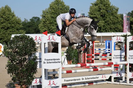 Lago di Lei überzeugt auf seinem zweiten Turnier. | © D.Matthaes