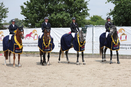 Das sind sie - die Landeschampions 2025 (v.l.n.r.):  Goldene Schärpe für Corey und Pia-Luise Baur, Landeschampion der Sechsjährigen ist Great Gatsby unter Alia Knack, Titel bei den Fünfjährigen geht an Clintina B und Anne Götter und der Landeschampion der Vierjährigen, vorgestellt von Eva Lühr, trägt den Namen Askaryan.   | © D. Matthaes