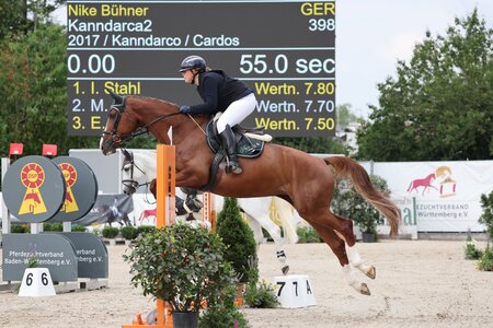 Siegen im Zuchtvereinscup: Nike Bühner und Kanndarca. | © D. Matthaes