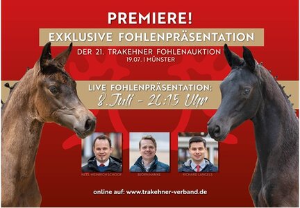 Nach der Präsentation gehen die Kollektion und der Livetalk online. | © Trakehner Verband/Büttner