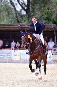 Pina Colada AM: Championesse der sechsjährigen Springpferde bei der Siegerrunde | © Agentur Dill