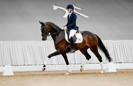 Solana v. Bon Coeur/Quaterback  | © Hannoveraner Verband