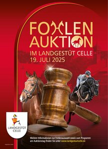 Das Landgestüt Celle lädt am 19. Juli 2025 erneut zur Fohlenauktion in die historische Reithalle ein.  | © LG Celle