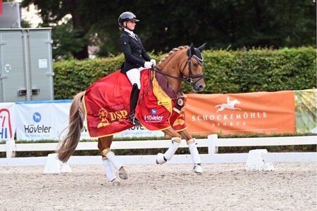 DSP Goldschatz galoppierte unter dem Sattel von Michele Schulmerig zur DSP-Schärpe bei den vierjährigen Reitponys. | © Dill