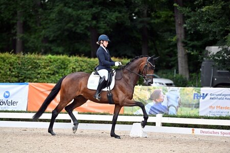 Glamorous Gigi trabte unter dem Sattel von Nicola Haug in der Qualifikation zum Sieg. | © Dill