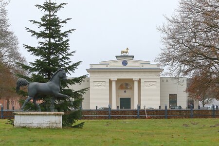 Geplant ist ein neues Betreibermodell für das Landgestüt Redefin - Chance auf zukunftsfähige Lösung oder doch eher der Anfang vom Ende? | © Bischoff