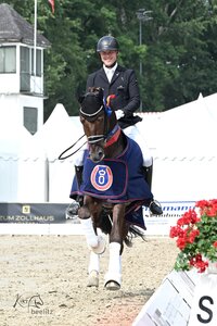 Der Oldenburger Dressurpferdechampion der Sechsjährigen 2025 heißt Viva Vitalis. | © Beelitz