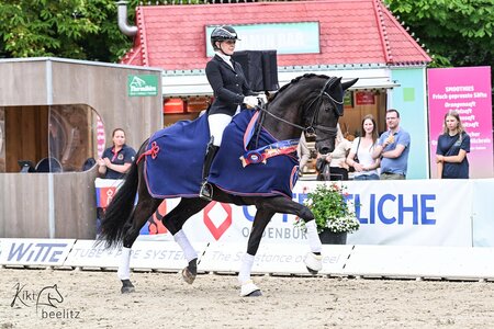 Vanelli siegte im Dressurpferdechampionat der Vierjährigen in Rastede. | © Beelitz