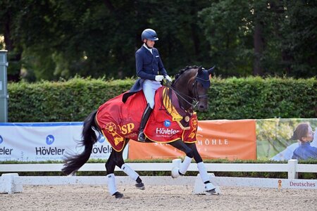 Barnaby wurde DSP-Youngster-Champion. | © Dill