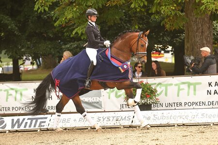 Mit der höchsten Endnote des Tages wurde Esquire mit Eva Möller im Sattel, Champion der vierjährigen Hengste in Rastede. | © Bischoff